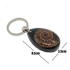 Ammonite keyring black