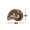 Nautilus Shell (medium)