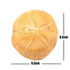 Sand Dollar Sea Urchin (Pyguru)