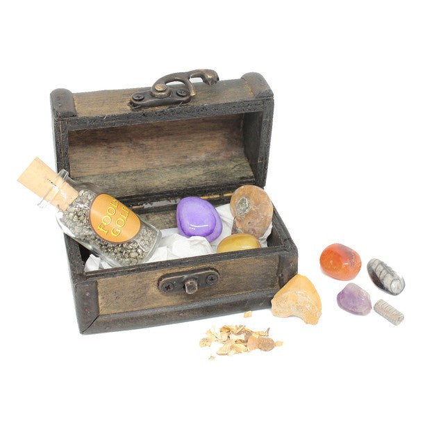 Fossil Treasure Box!