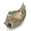 Woolly Mammoth lower jaw and tooth