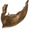 Woolly Mammoth lower jaw and tooth