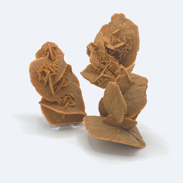 Algerian Desert Rose Crystals for Sale | Sahara Crystals