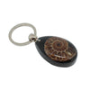 Ammonite keyring black