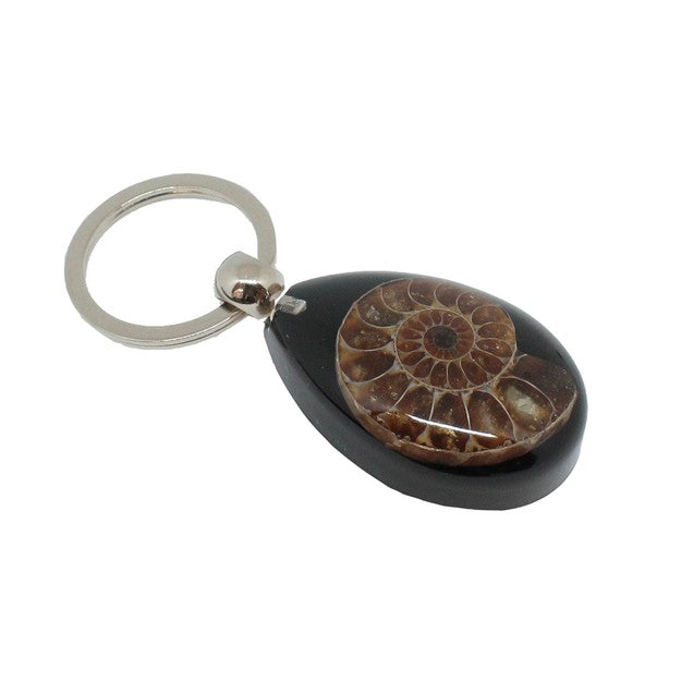 Ammonite keyring black