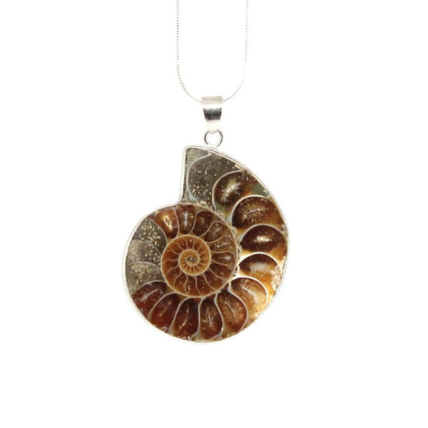 Ammonite Fossil Necklace for Sale | Includes Silver Plate Chain