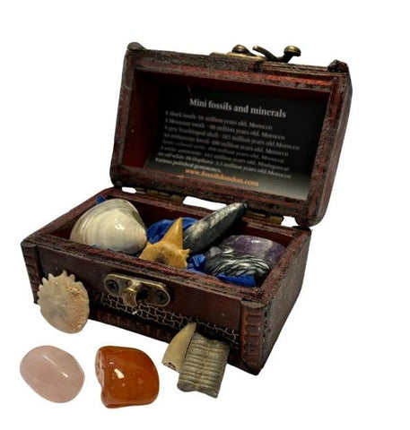 An open decorative wooden treasure chest display box containing assorted crystals, stones, a shell, and a starfish, with a printed insert in the lid. Two additional crystals are placed in front on a white background.