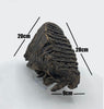 Large Polish Woolly Mammoth Tooth.